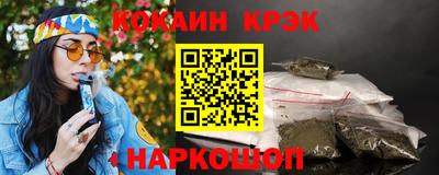 дмт Кингисепп