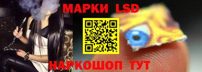 дмт Кингисепп