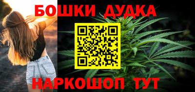 дмт Кингисепп