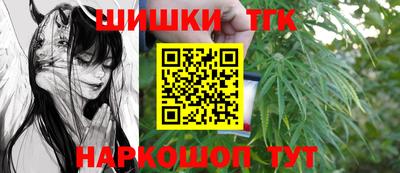 дмт Кингисепп