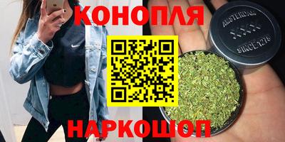 дмт Кингисепп