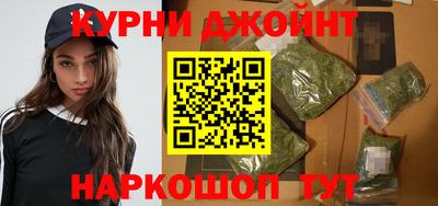 дмт Кингисепп