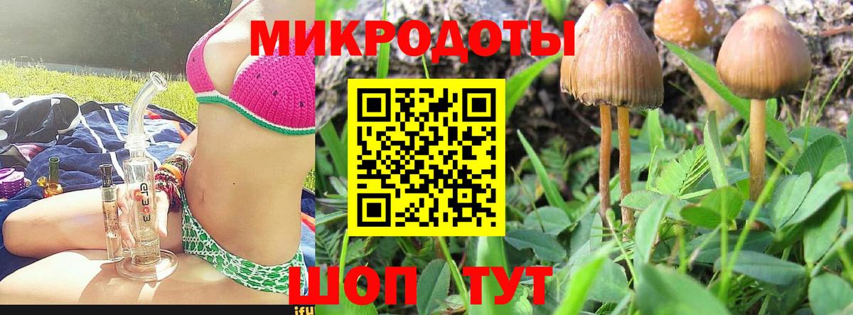 Псилоцибиновые грибы Psilocybine cubensis Кувандык