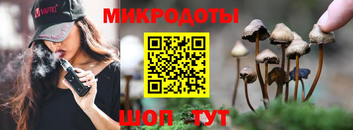 Кувандык  Галлюциногенные грибы Psilocybine cubensis  Вход с VPN 