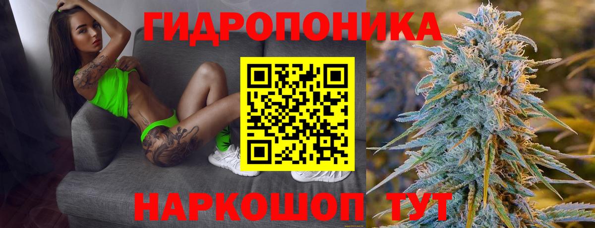 Бошки Шишки MAZAR Кувандык